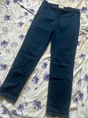 Parasuco 2016 Navy Pull-On Skinny Pants – Women 12 – Like New